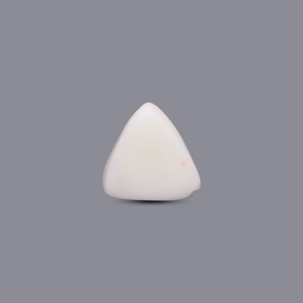 White Coral - 5.85 Carat