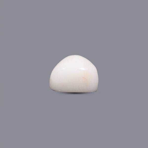 White Coral - 5.85 Carat