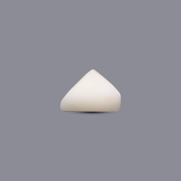 White Coral - 4.8 Carat