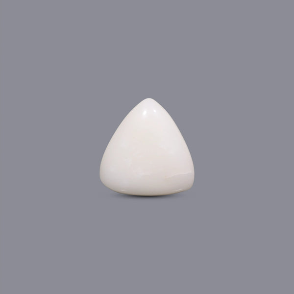 White Coral - 7.6 Carat