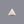 Load image into Gallery viewer, White Coral - 12.15 Carat
