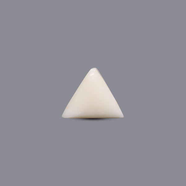White Coral - 12.15 Carat