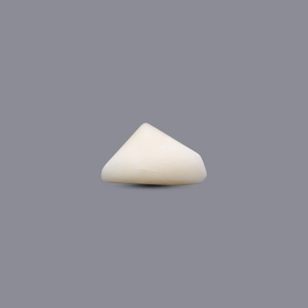 White Coral - 12.15 Carat