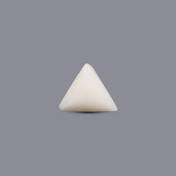 White Coral - 7.1 Carat