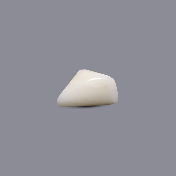 White Coral - 7.1 Carat
