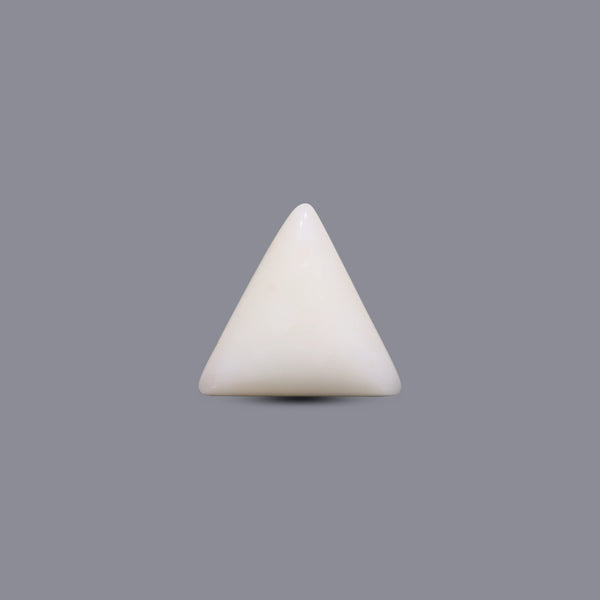 White Coral - 6.05 Carat