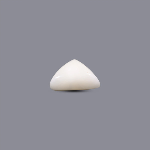 White Coral - 6.95 Carat