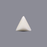White Coral - 6.7 Carat - Pramogh