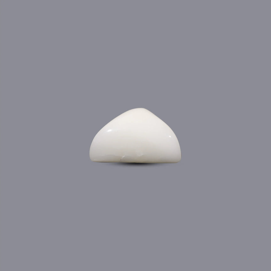 White Coral - 12.35 Carat