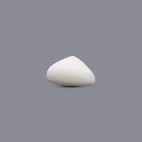 White Coral - 7.5 Carat