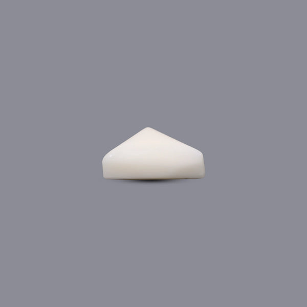 White Coral - 8.25 Carat