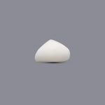 White Coral - 8.55 Carat