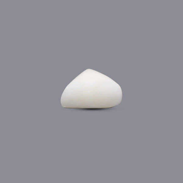 White Coral - 8.55 Carat