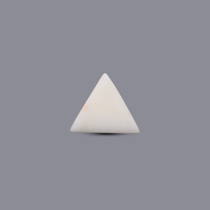 White Coral - 13.1 Carat