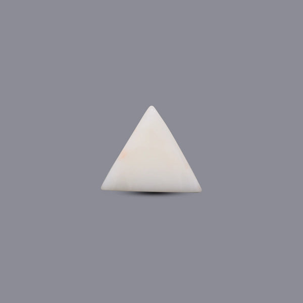 White Coral - 13.1 Carat
