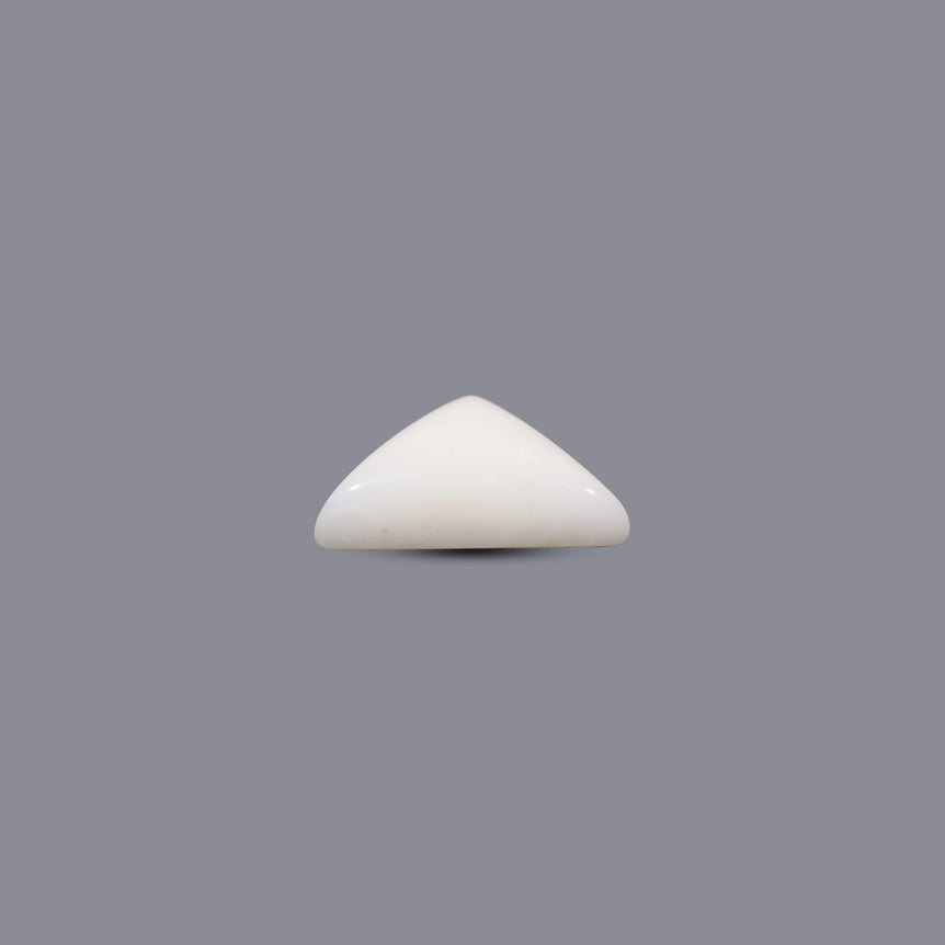 White Coral - 13.1 Carat