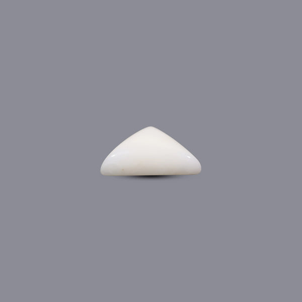 White Coral - 13.1 Carat