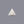 Load image into Gallery viewer, White Coral - 10 Carat - Pramogh
