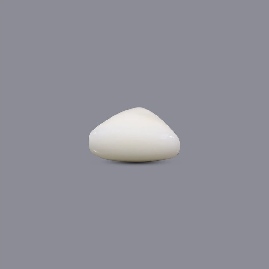 White Coral - 10 Carat