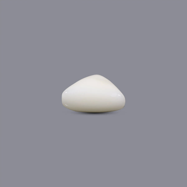 White Coral - 10 Carat