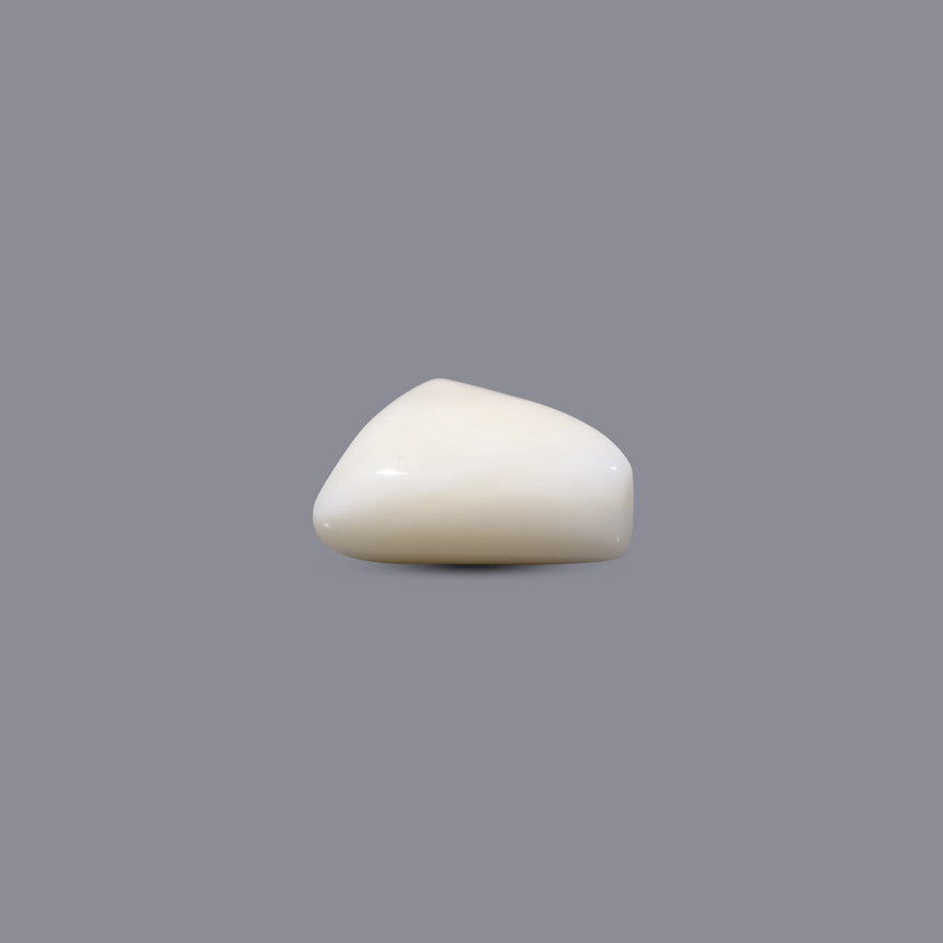 White Coral - 6.45 Carat