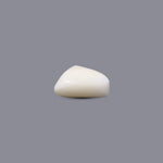 White Coral - 6.45 Carat