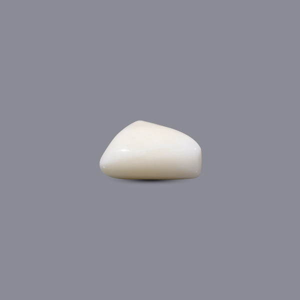White Coral - 6.45 Carat