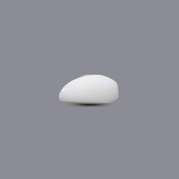 White Coral - 5.4 Carat