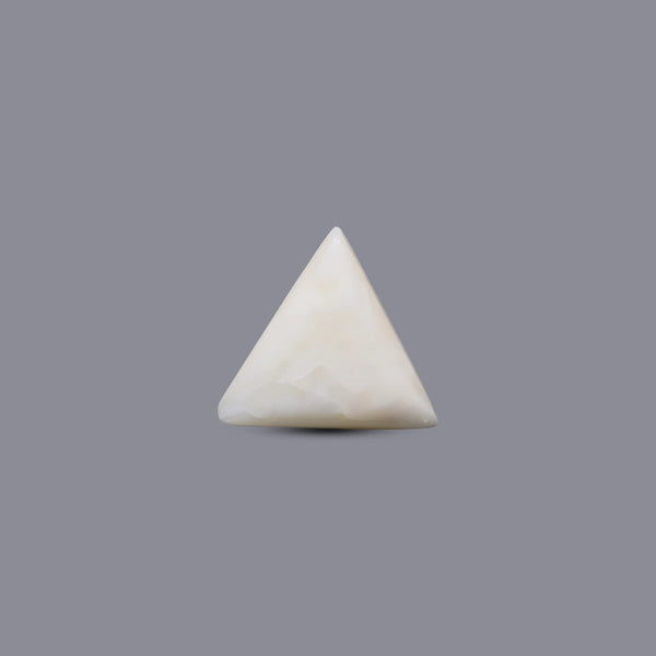 White Coral - 12.85 Carat