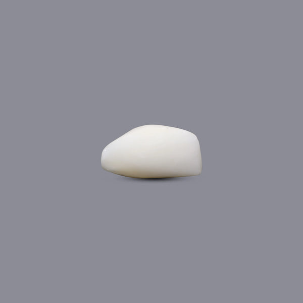 White Coral - 12.85 Carat