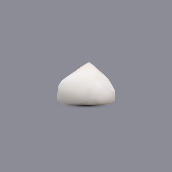 White Coral - 8.7 Carat