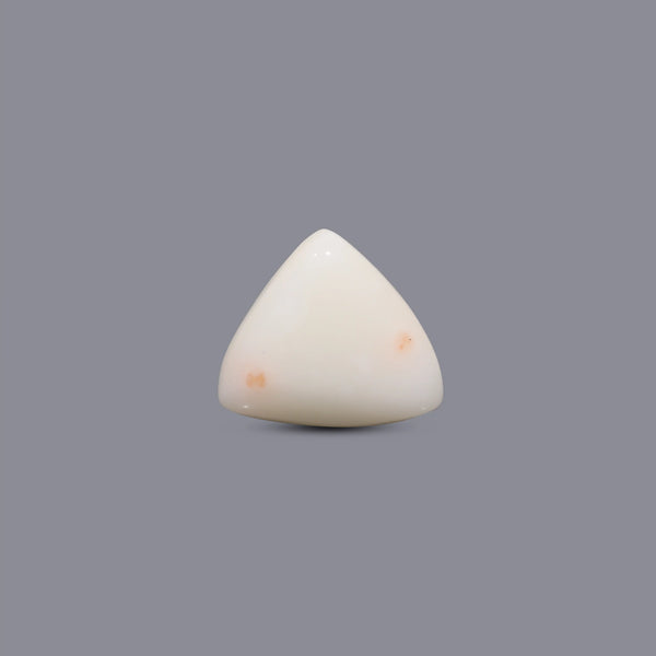 White Coral - 6.8 Carat