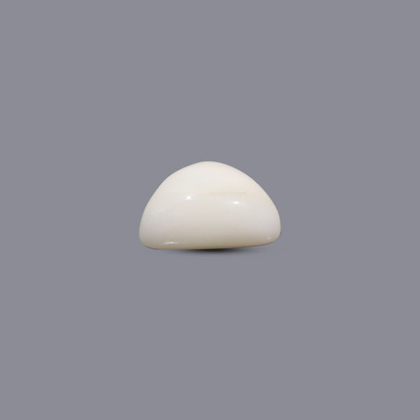 White Coral - 6.8 Carat