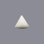 White Coral - 15.9 Carat - Pramogh