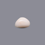 White Coral - 5.65 Carat