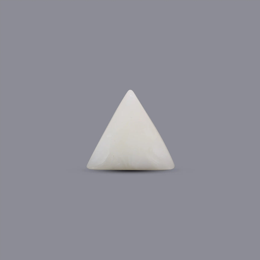 White Coral - 10.6 Carat