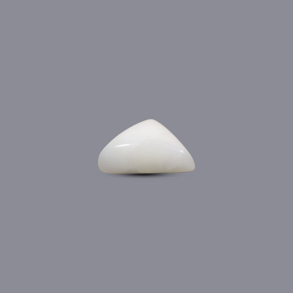 White Coral - 10.6 Carat