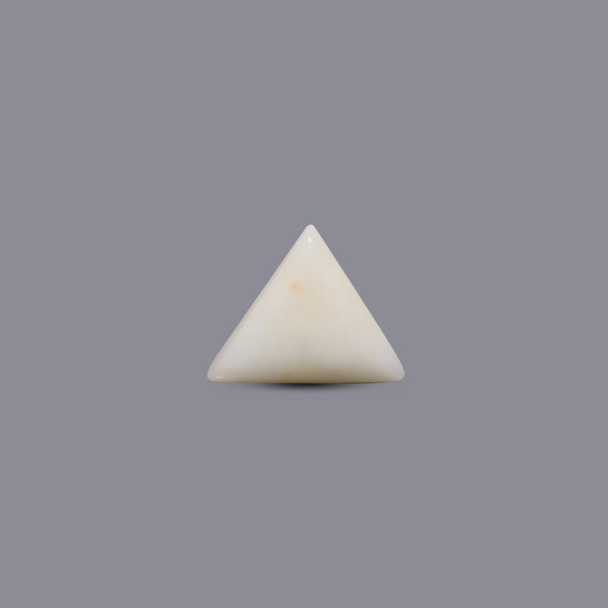 White Coral - 8.3 Carat