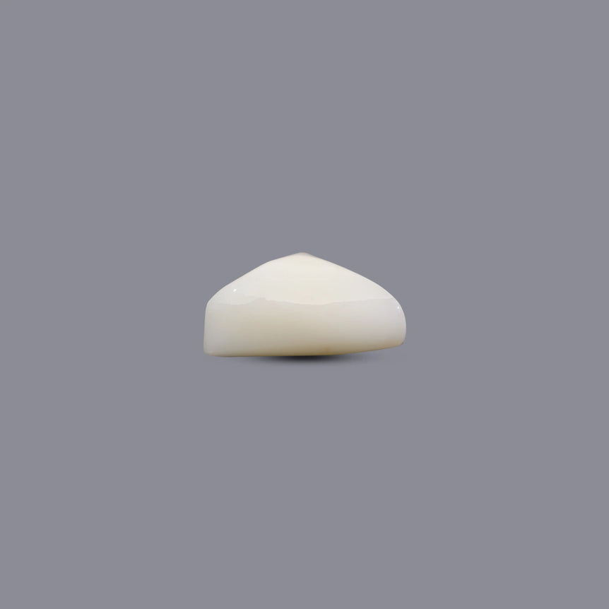 White Coral - 8.3 Carat