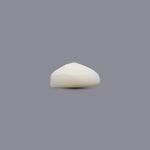 White Coral - 8.3 Carat