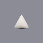 White Coral - 11.2 Carat