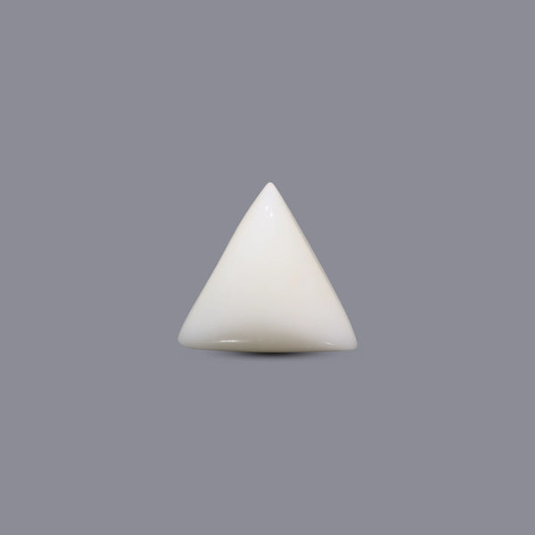 White Coral - 11.2 Carat