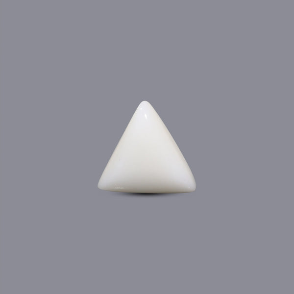 White Coral - 8.1 Carat