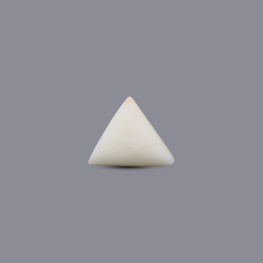 White Coral - 5.4 Carat