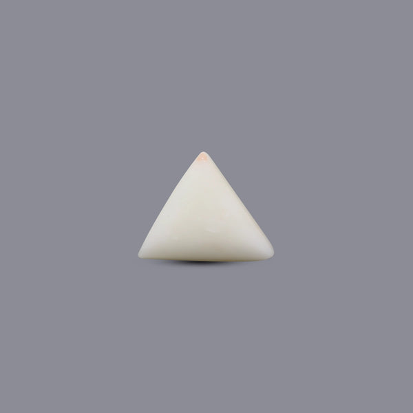 White Coral - 5.4 Carat