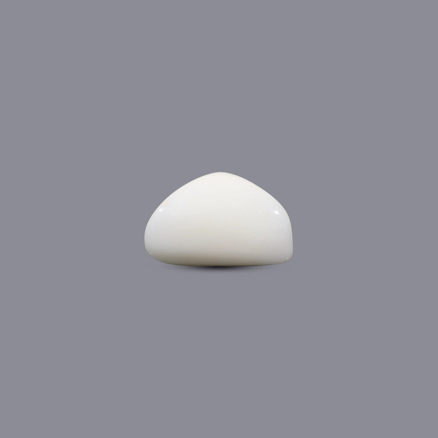 White Coral - 10.95 Carat