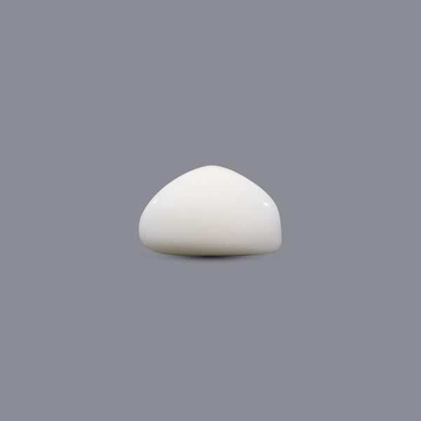 White Coral - 10.95 Carat