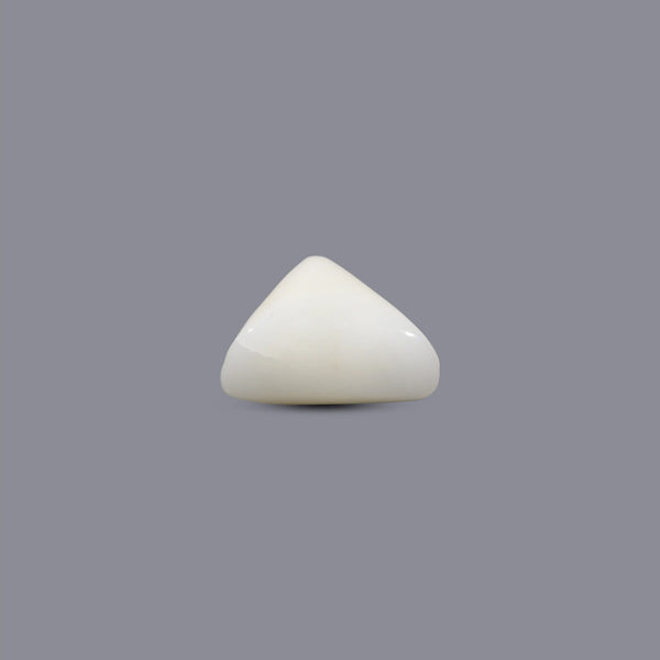 White Coral - 5.75 Carat