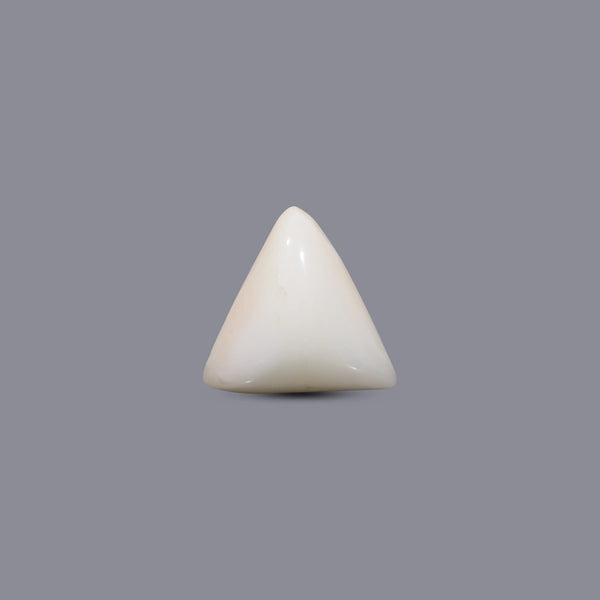 White Coral - 6.1 Carat - Pramogh