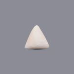 White Coral - 6.1 Carat